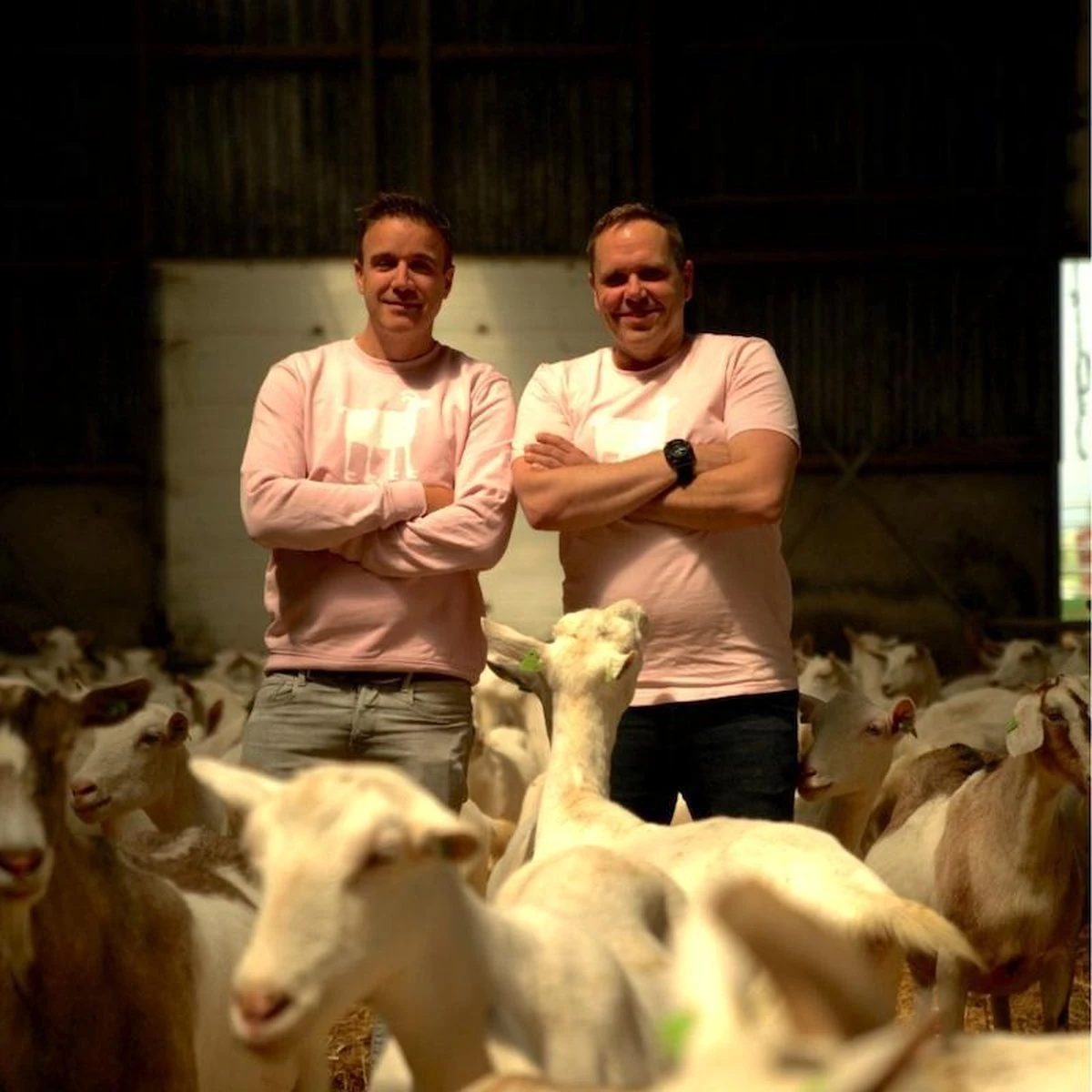 Pure Goat Company - Opvolgmelk 2 - Biologische flesvoeding op basis van volle geitenmelk - 800 gram