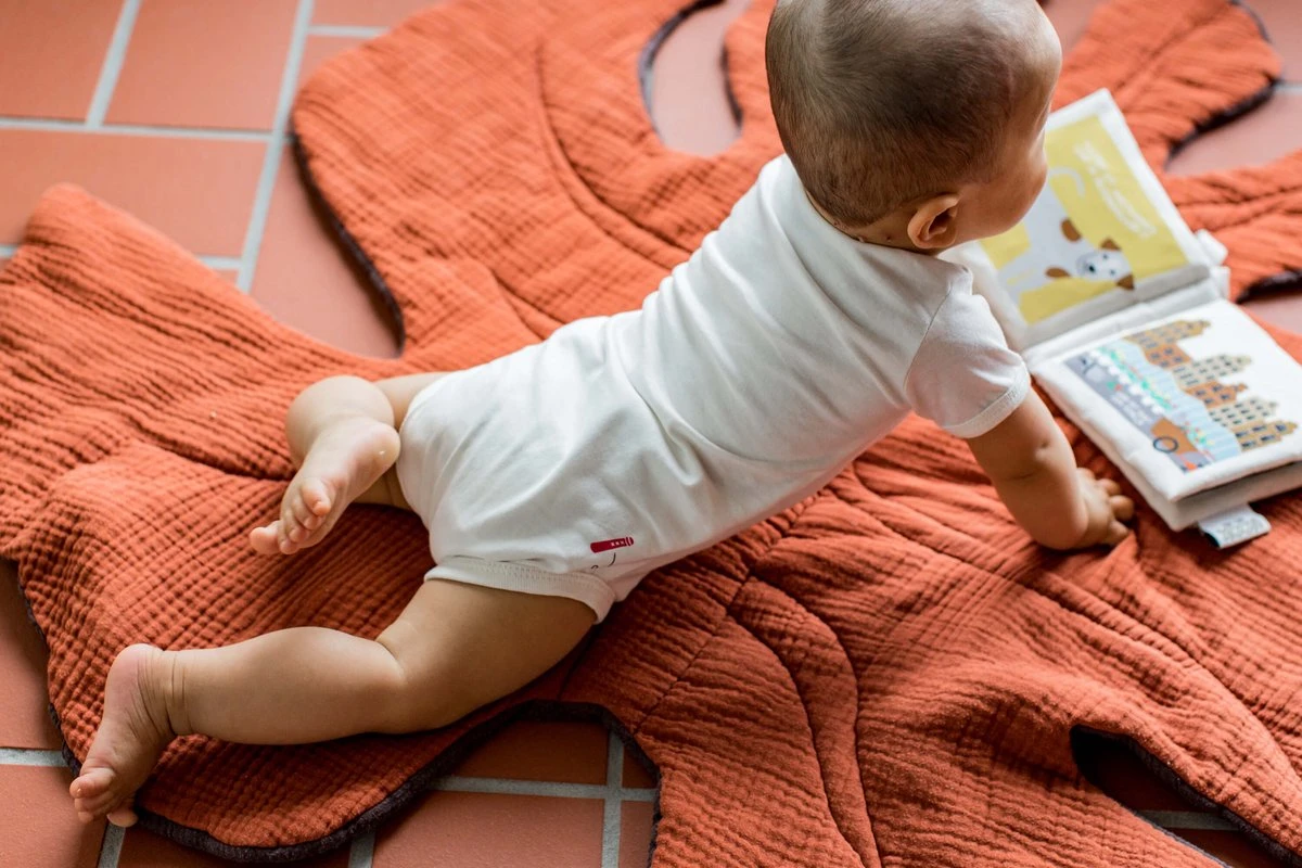 Zacht Babyboekje Amsterdam - 100% katoen - fairly made - in mooie geschenkverpakking - duurzaam en origineel kraamcadeau